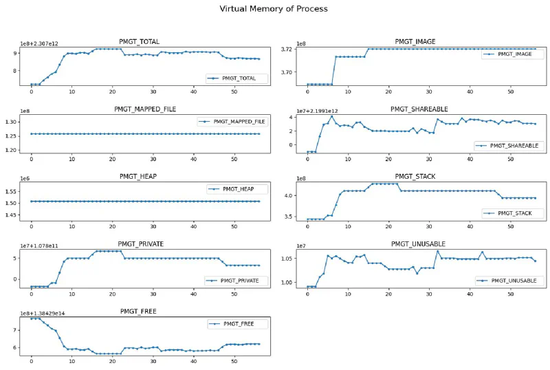 Exported table of virtual memory usage grouped by memory type